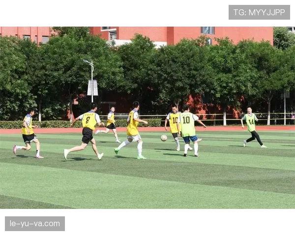 伯恩茅斯维塔利蒂球场迎重要赛事，球迷热情高涨点燃现场氛围