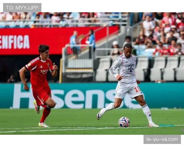 佛罗伦萨战术革新：紫百合如何重塑竞争力赢得关注