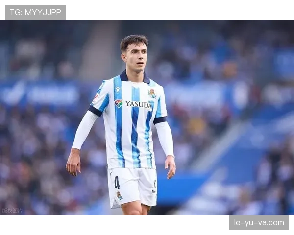 德甲夏窗引援加速，各队积极布局新赛季