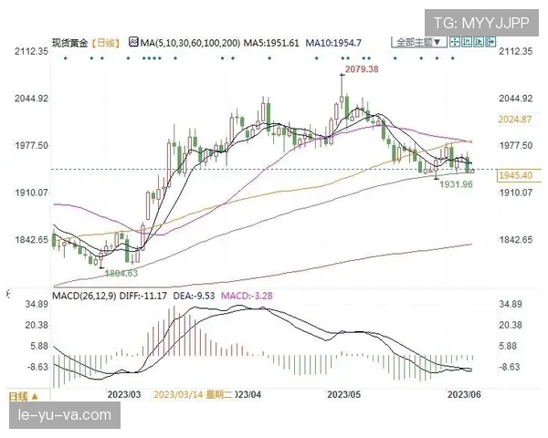 雷恩战术大揭秘：赛季逆转背后的秘密策略与表现趋势分析