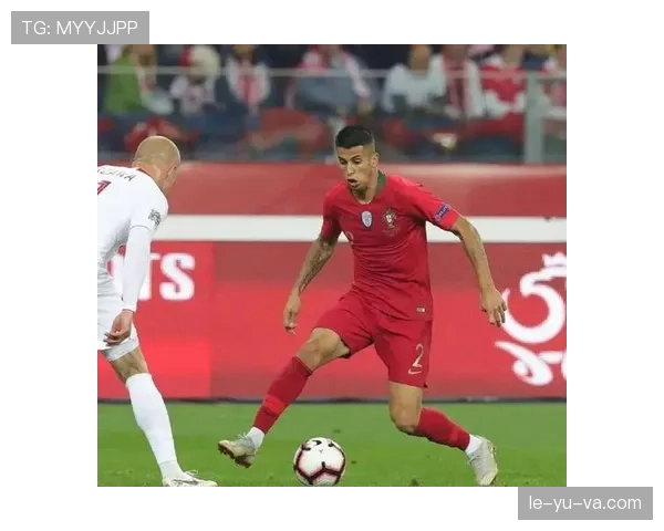 坎塞洛盘带特点