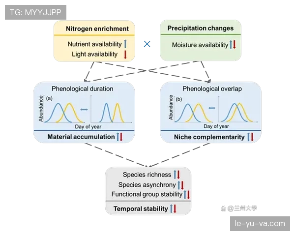 努涅斯情绪控制对比赛稳定性的影响分析