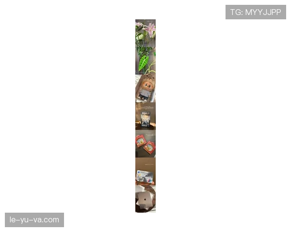 伊布拉希莫维奇拎着几只名牌购物袋出门，把我这个月工资当零花钱似的，尴尬笑不出来