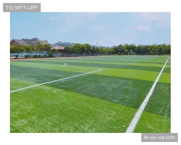 2026世界杯草坪标准规则有哪些